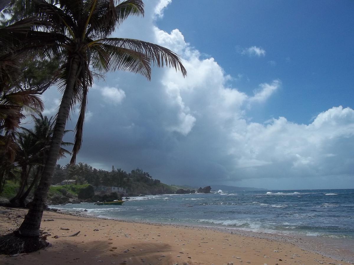 Ocean Ridge At Long Beach Крайст-Черч Экстерьер фото